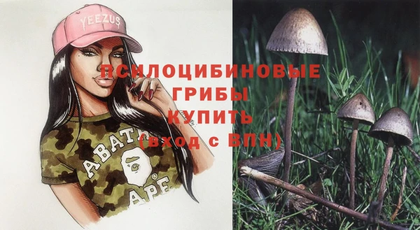 кокаин премиум Каменск-Шахтинский