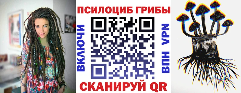 наркота Кашира Псилоцибиновые грибы ЛСД